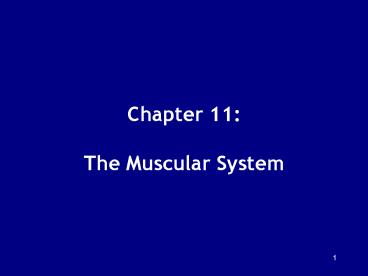 Chapter 11: The Muscular System presentation | free to view