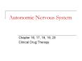 Autonomic Nervous System PowerPoint PPT Presentation