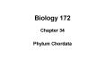 Biology 172 PowerPoint PPT Presentation