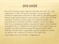 dog guide PowerPoint PPT Presentation