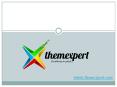 ThemeXpert - Crunch Social Business Template PowerPoint PPT Presentation
