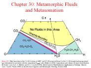 Chapter 30: Metamorphic Fluids and Metasomatism