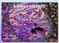 Lamproites!!! PowerPoint PPT Presentation
