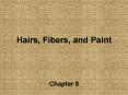 Hairs, Fibers, and Paint PowerPoint PPT Presentation