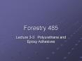 Forestry 485 PowerPoint PPT Presentation