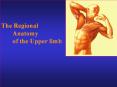 The Regional     Anatomy    of the Upper limb PowerPoint PPT Presentation
