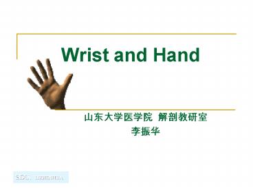 Wrist and Hand