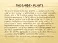 the garden plants PowerPoint PPT Presentation