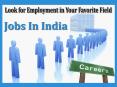 Jobs In India – Look for Employment in Your Favorite Field PowerPoint PPT Presentation