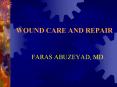 WOUND CARE AND REPAIR PowerPoint PPT Presentation