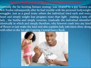 The Fat reduction Furnace Professional review