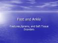 Foot and Ankle PowerPoint PPT Presentation