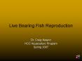 Live Bearing Fish Reproduction PowerPoint PPT Presentation