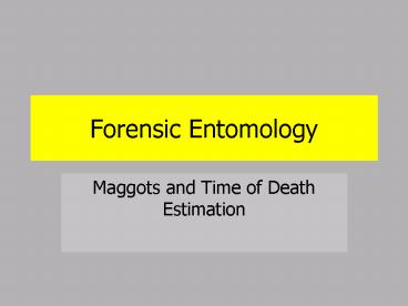 Forensic Entomology