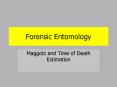 Forensic Entomology PowerPoint PPT Presentation