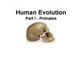 Human Evolution Part I - Primates PowerPoint PPT Presentation