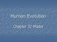 Human Evolution PowerPoint PPT Presentation