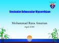 Vesicular Arbuscular Mycorrhizae PowerPoint PPT Presentation