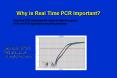 Why is Real Time PCR Important? PowerPoint PPT Presentation