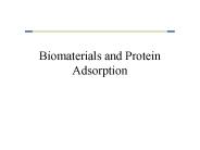 Biomaterials and Protein Adsorption