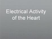 Electrical%20Activity%20of%20the%20Heart