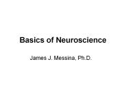 Basics of Neuroscience