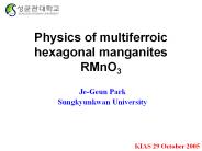 Physics of multiferroic hexagonal manganites RMnO3