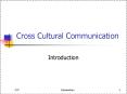 Cross Cultural Communication PowerPoint PPT Presentation