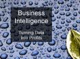 Business  Intelligence Turning Data Into Profits PowerPoint PPT Presentation