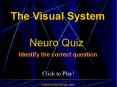 The Visual System: Quiz Game PowerPoint PPT Presentation
