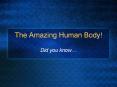 The Amazing Human Body! PowerPoint PPT Presentation
