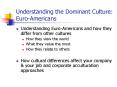 Understanding the Dominant Culture: Euro-Americans PowerPoint PPT Presentation
