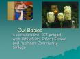 Owl Babies PowerPoint PPT Presentation