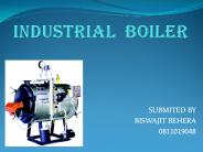 INDUSTRIAL BOILER