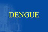 DENGUE