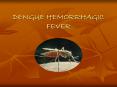 DENGUE HEMORRHAGIC FEVER PowerPoint PPT Presentation