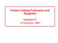 Protein Folding Purification and Myoglobin Lecture 11 (29 September 2009) PowerPoint PPT Presentation