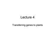 Transferring genes to plants