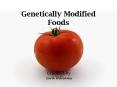 Genetically Modified Foods PowerPoint PPT Presentation