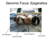 Genomic Focus: Epigenetics