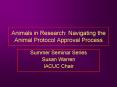 Animals in Research: Navigating the Animal Protocol Approval Process PowerPoint PPT Presentation
