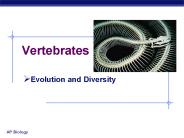 Vertebrates