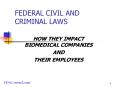 FEDERAL CIVIL AND CRIMINAL LAWS PowerPoint PPT Presentation