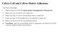 Cell-to-Cell and Cell-to-Matrix Adhesions PowerPoint PPT Presentation