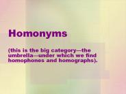 Homonyms (this is the big category