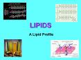 LIPIDS PowerPoint PPT Presentation