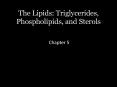 The Lipids: Triglycerides, Phospholipids, and Sterols PowerPoint PPT Presentation