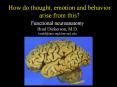 Functional neuroanatomy Brad Dickerson, M.D. bradd@nmr.mgh.harvard.edu PowerPoint PPT Presentation