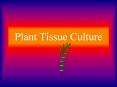 Plant Tissue Culture PowerPoint PPT Presentation