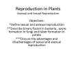 Reproduction in Plants Asexual and Sexual Reproduction PowerPoint PPT Presentation